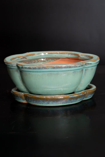 Bonsai Pots