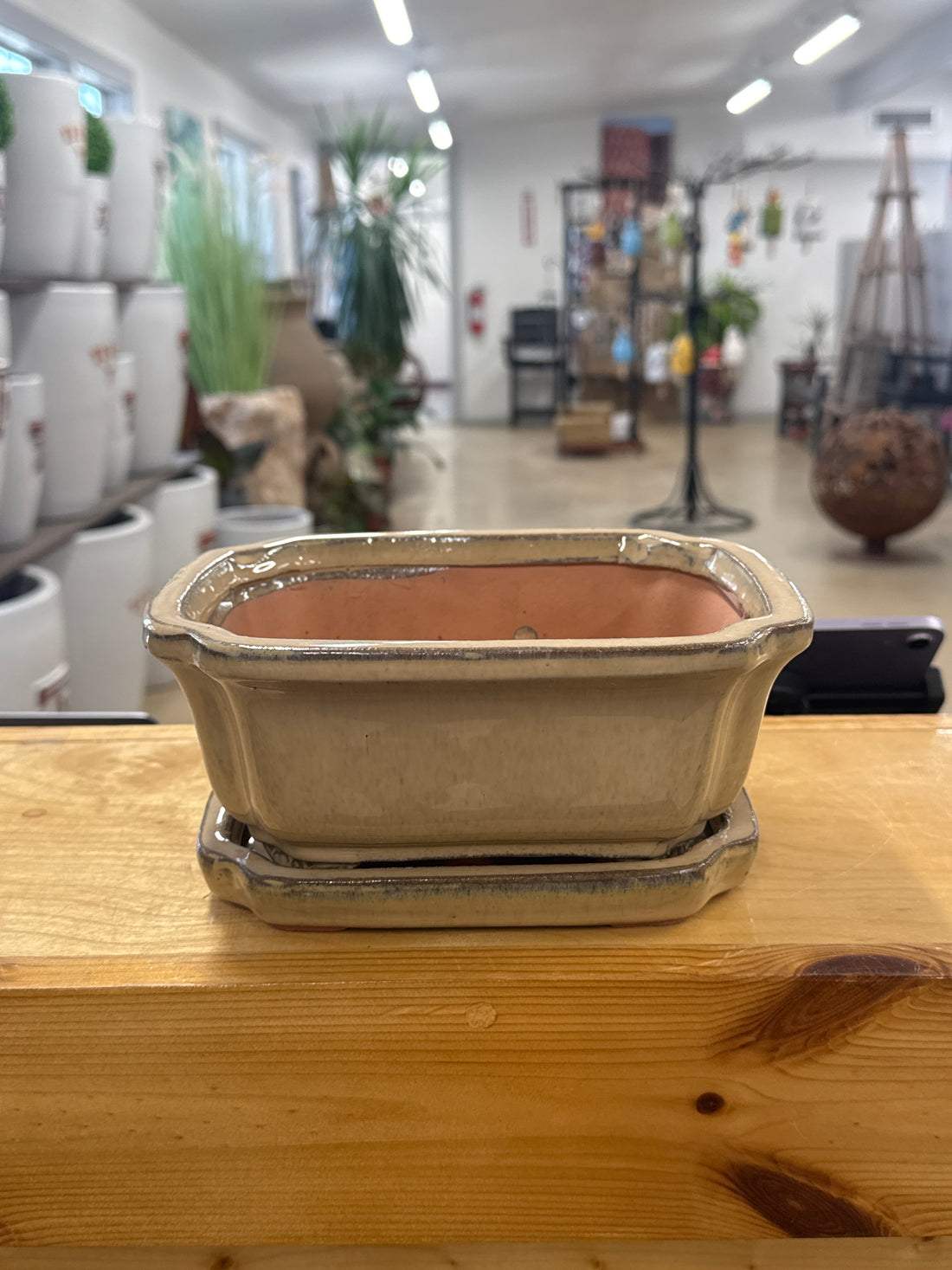 Crimped Bonsai Pot