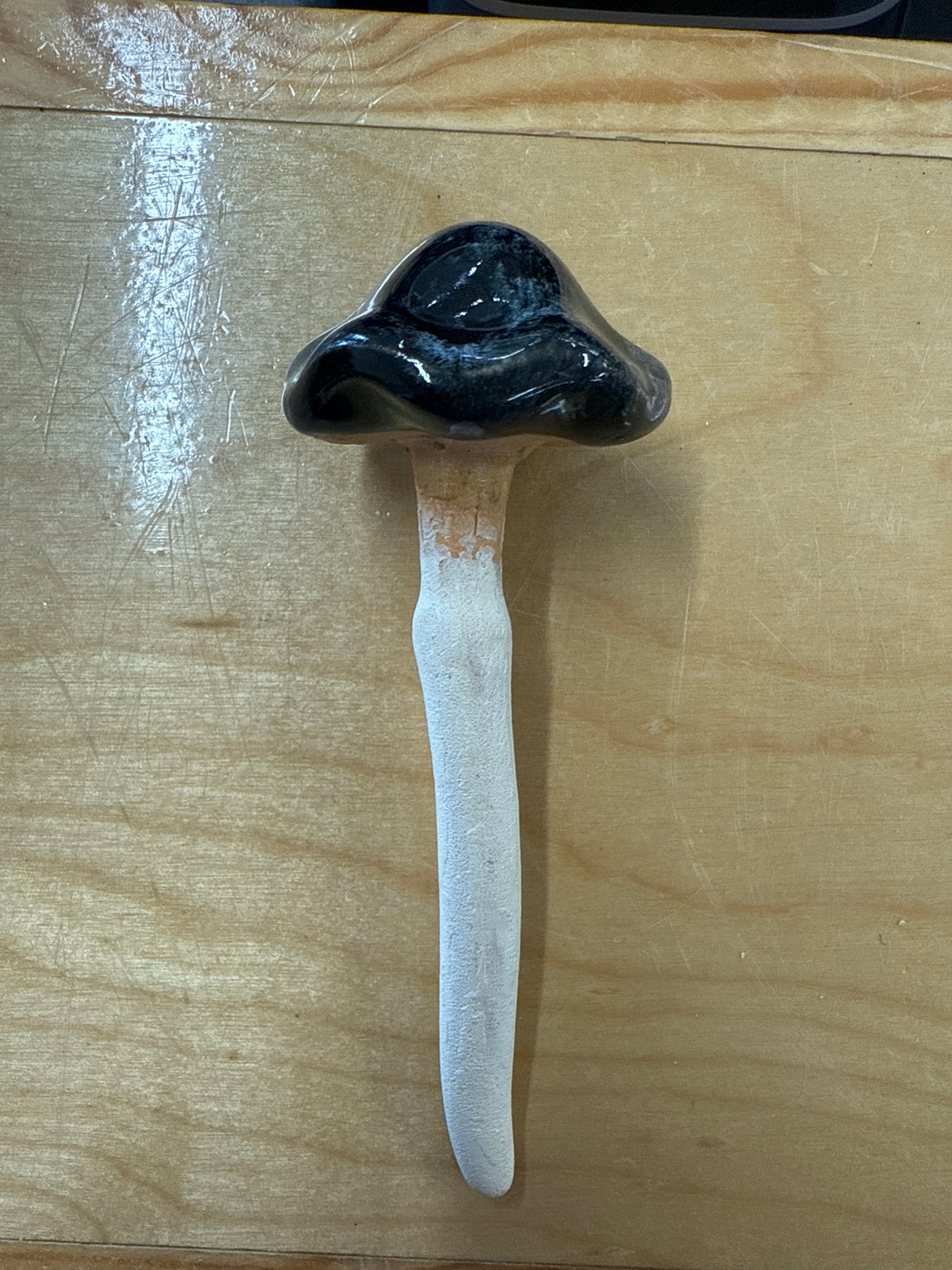 Black Umbonate Mushroom