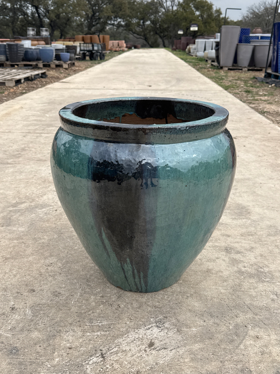 Jade Green & Glossy Black Flat Rim Ventana Planter