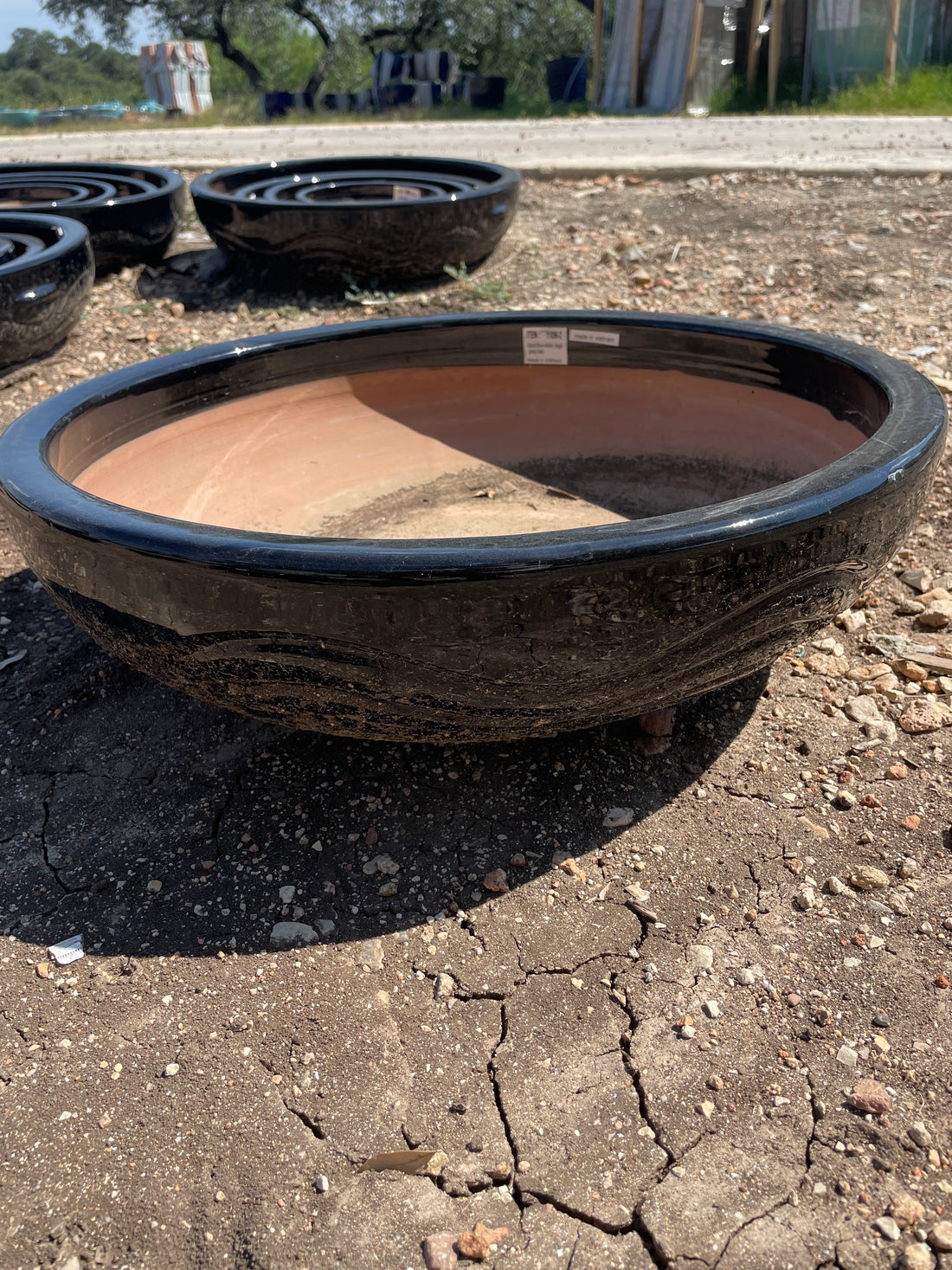Wavy Low Bowl