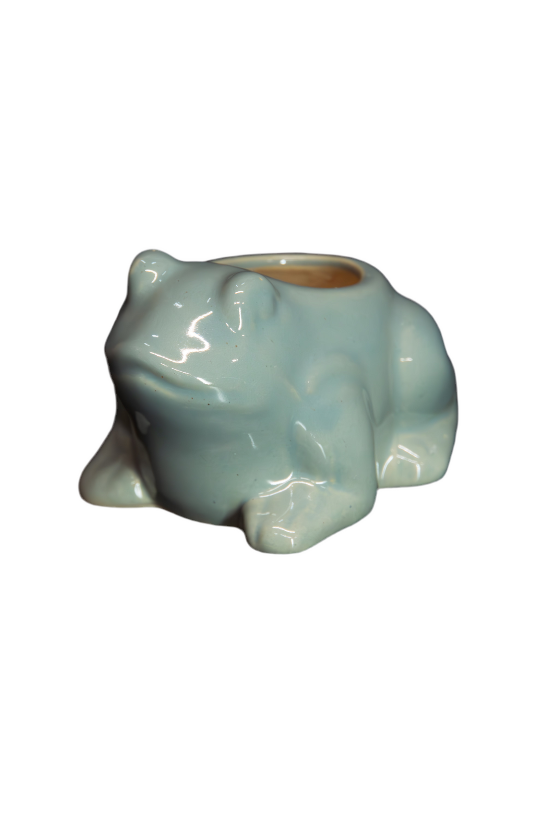 Crackled Frog Planter