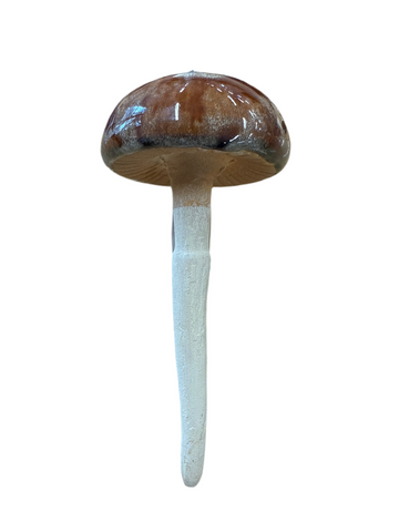 Brown Standard Mushroom