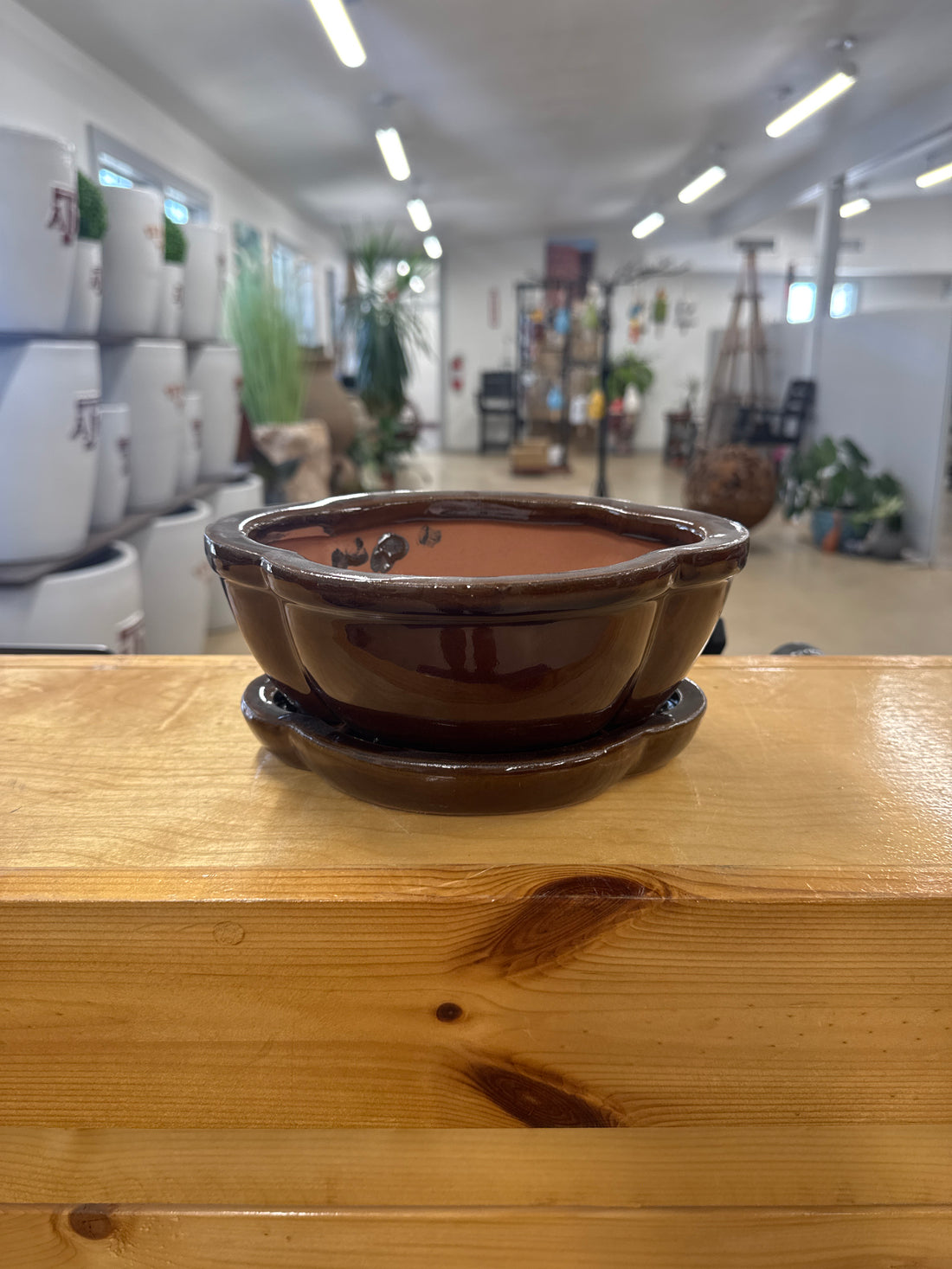Clover Bonsai Pot