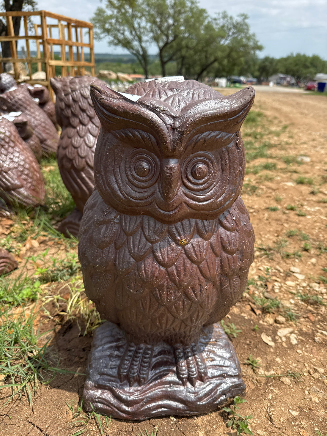Black Clay Owl