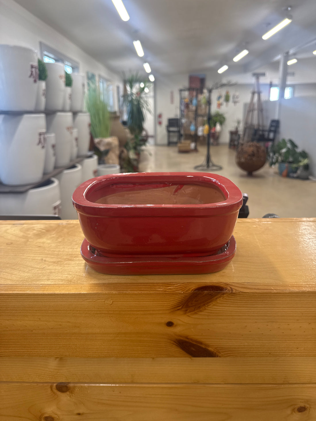 Standard Bonsai Pot