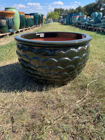 Low Lipped Scale Planter