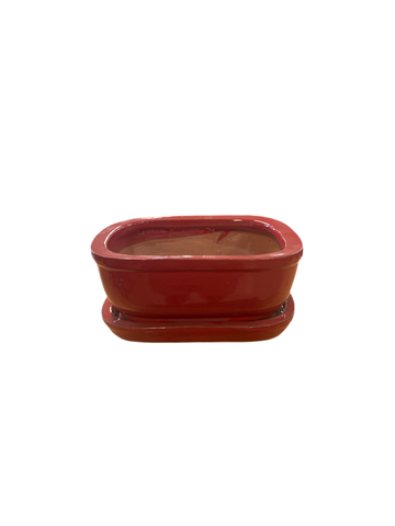 Standard Bonsai Pot