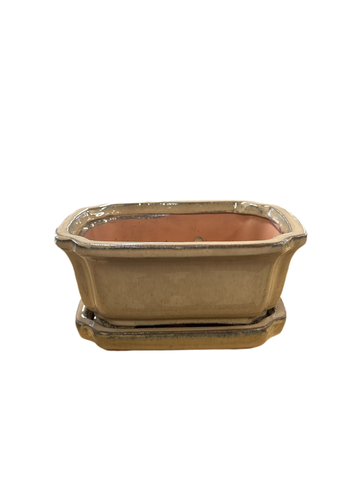 Crimped Bonsai Pot
