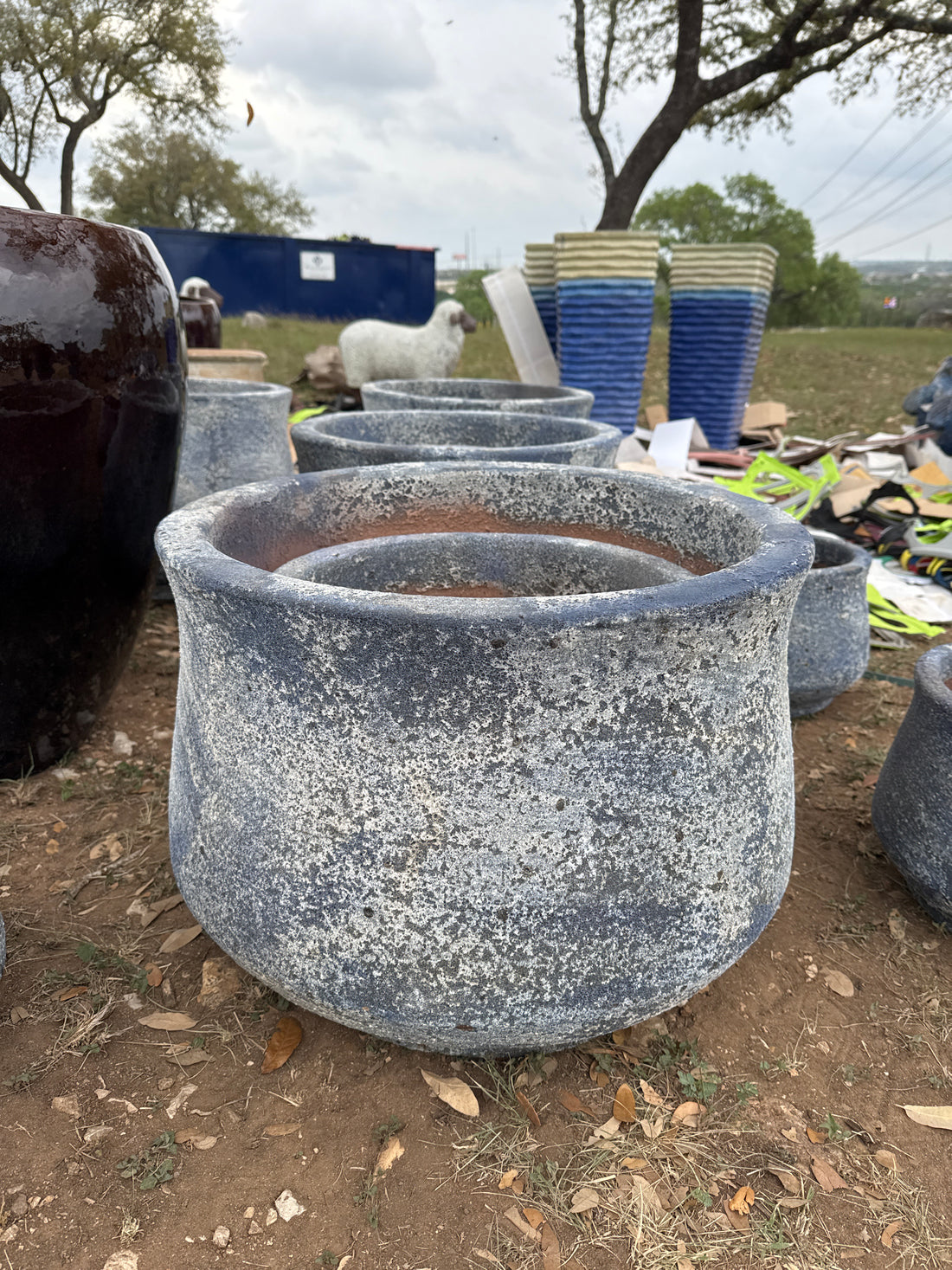 Wide Planter