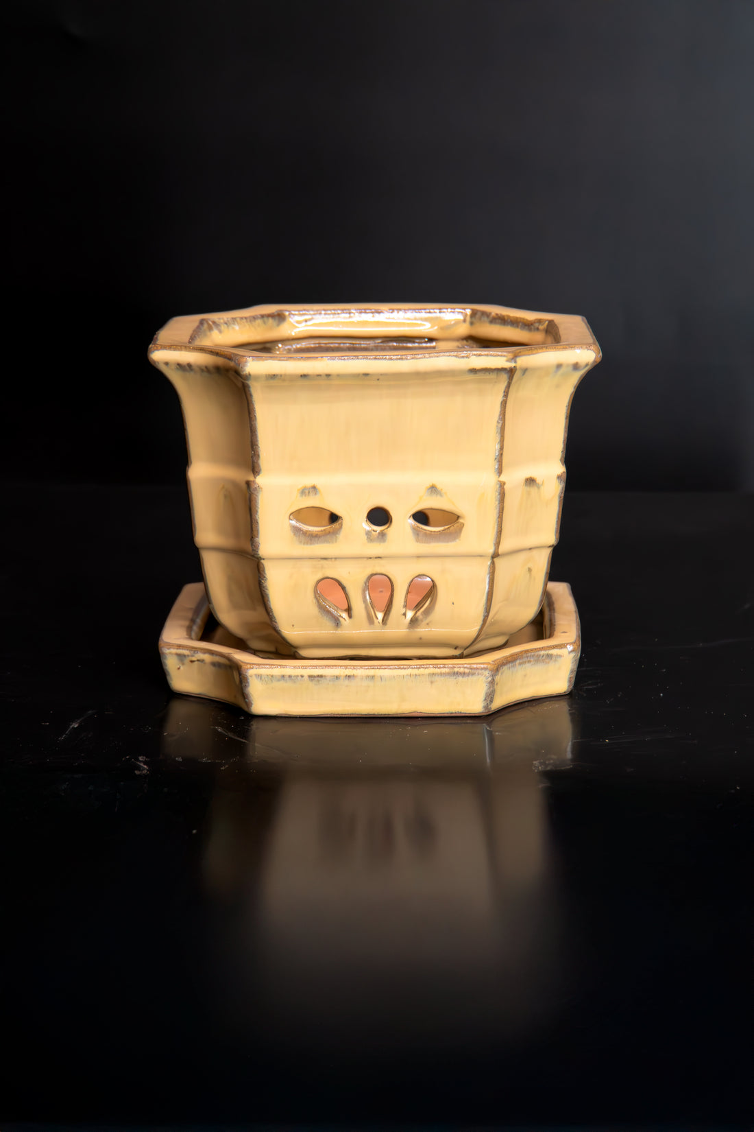 Octagon Orchid Pot