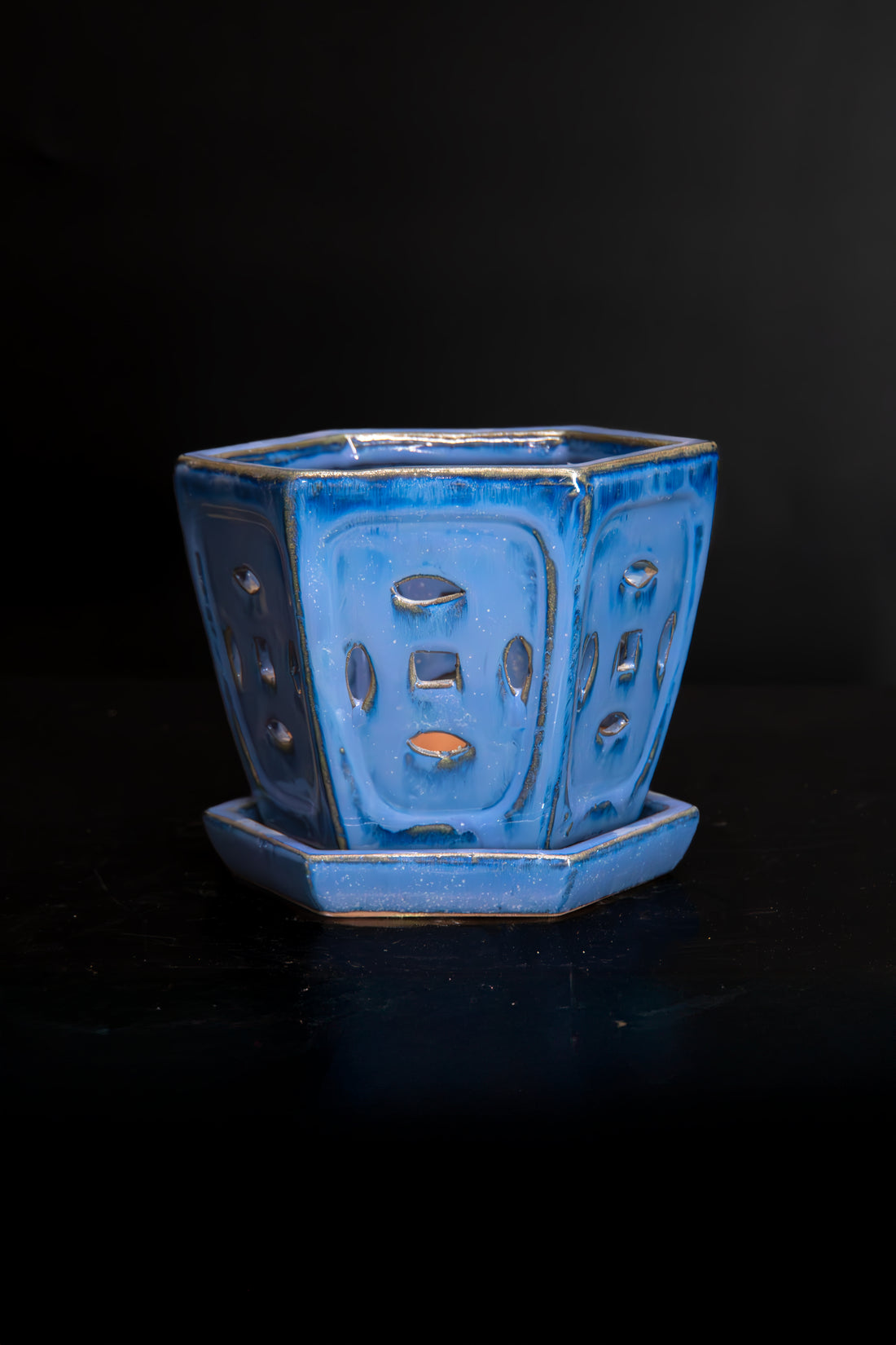 Hex Orchid Pot