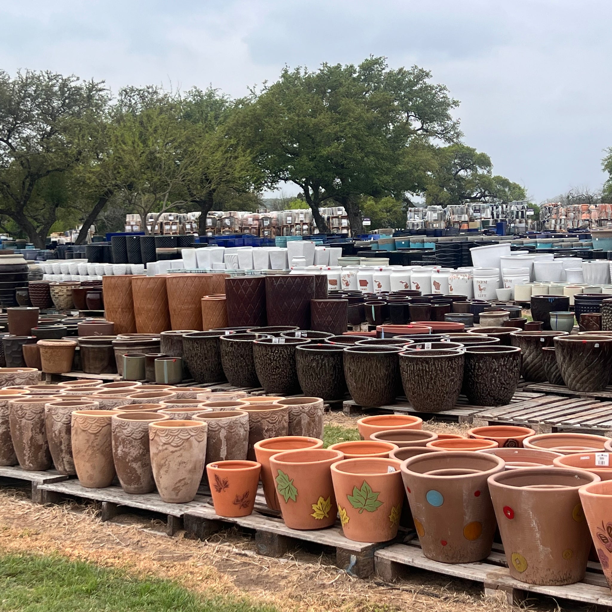 Beat the Texas Heat: 5 Crucial Tips for Caring for Outdoor Pottery