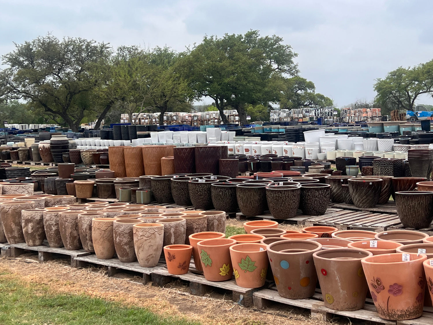 Beat the Texas Heat: 5 Crucial Tips for Caring for Outdoor Pottery