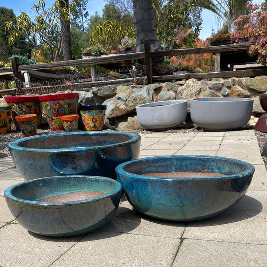 Embracing Excellence: A Glorious Visit from our Vietnamese Pottery Partners