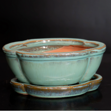 Bonsai Pots