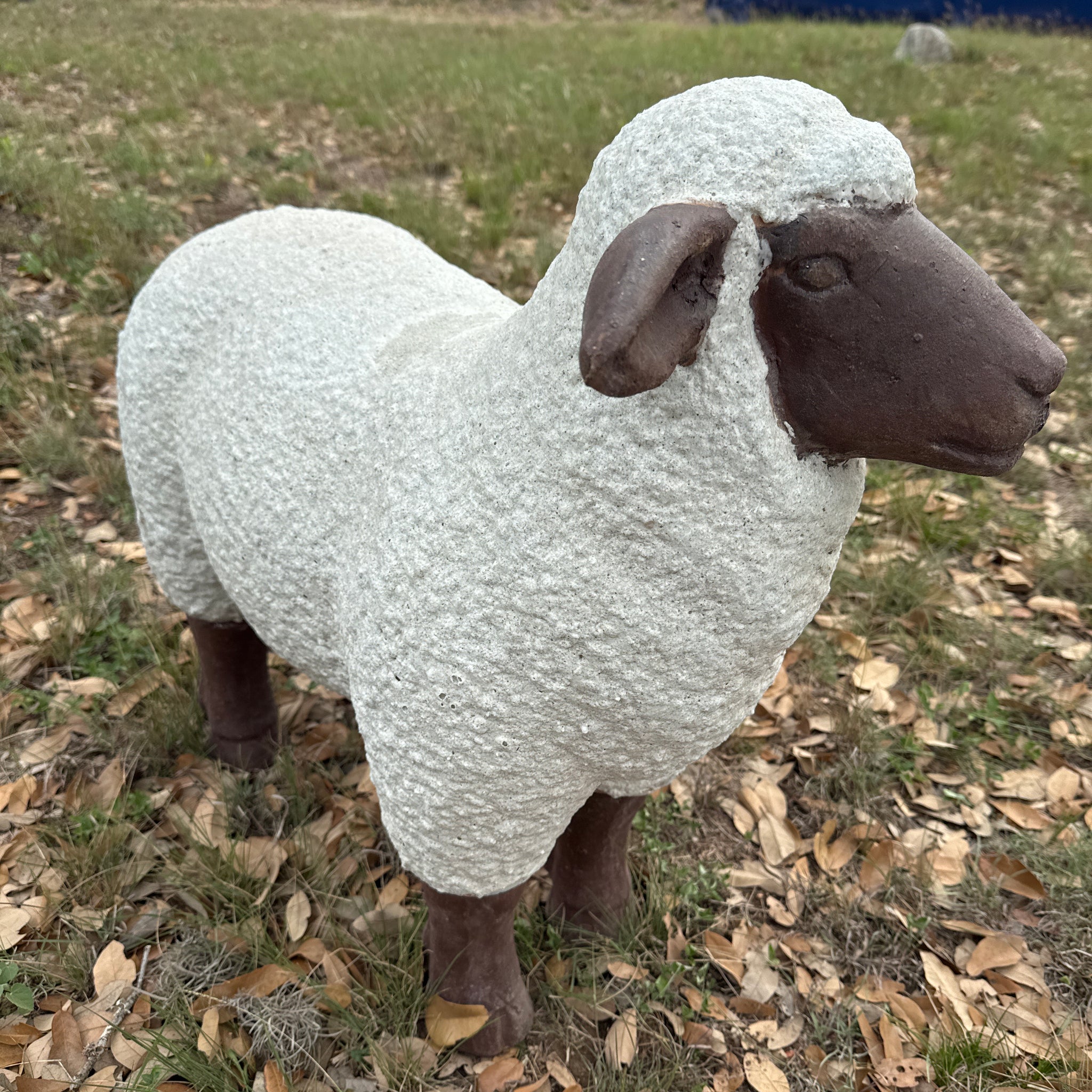 White/Brown Stoic Sheep