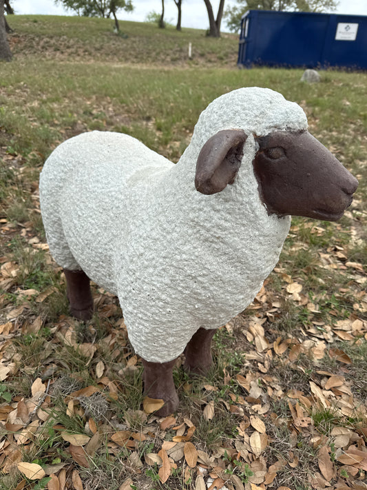 White/Brown Stoic Sheep