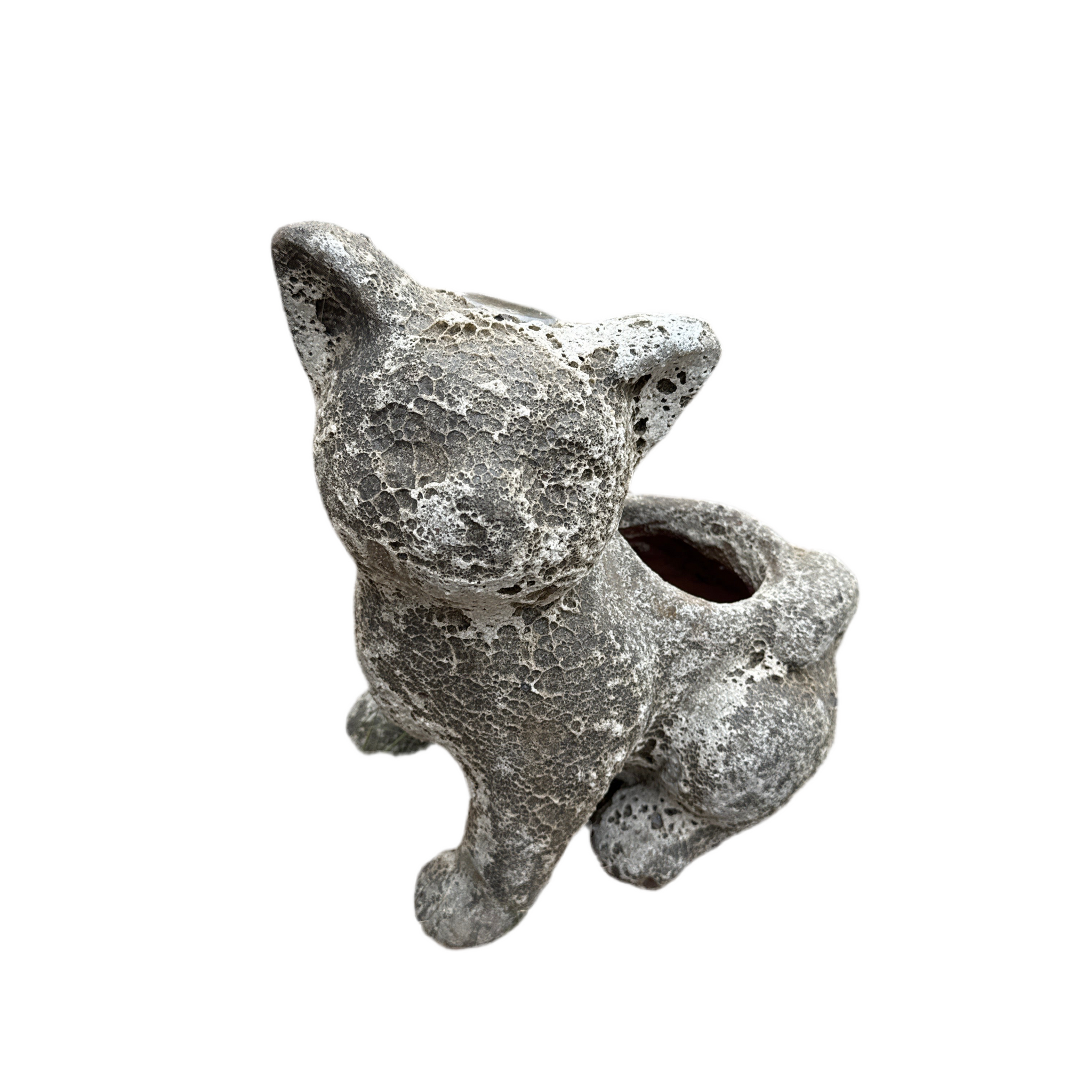 Oceanic White Cat Planter