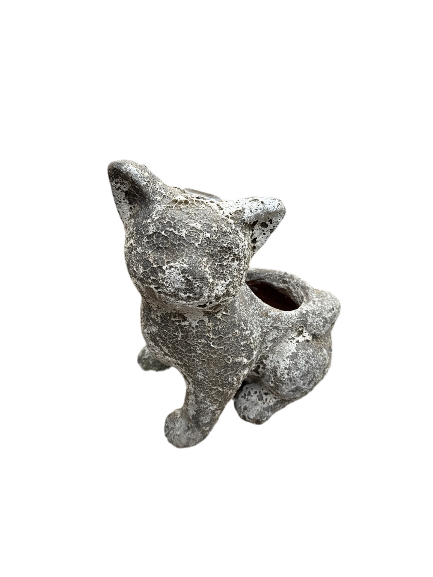 Oceanic White Cat Planter