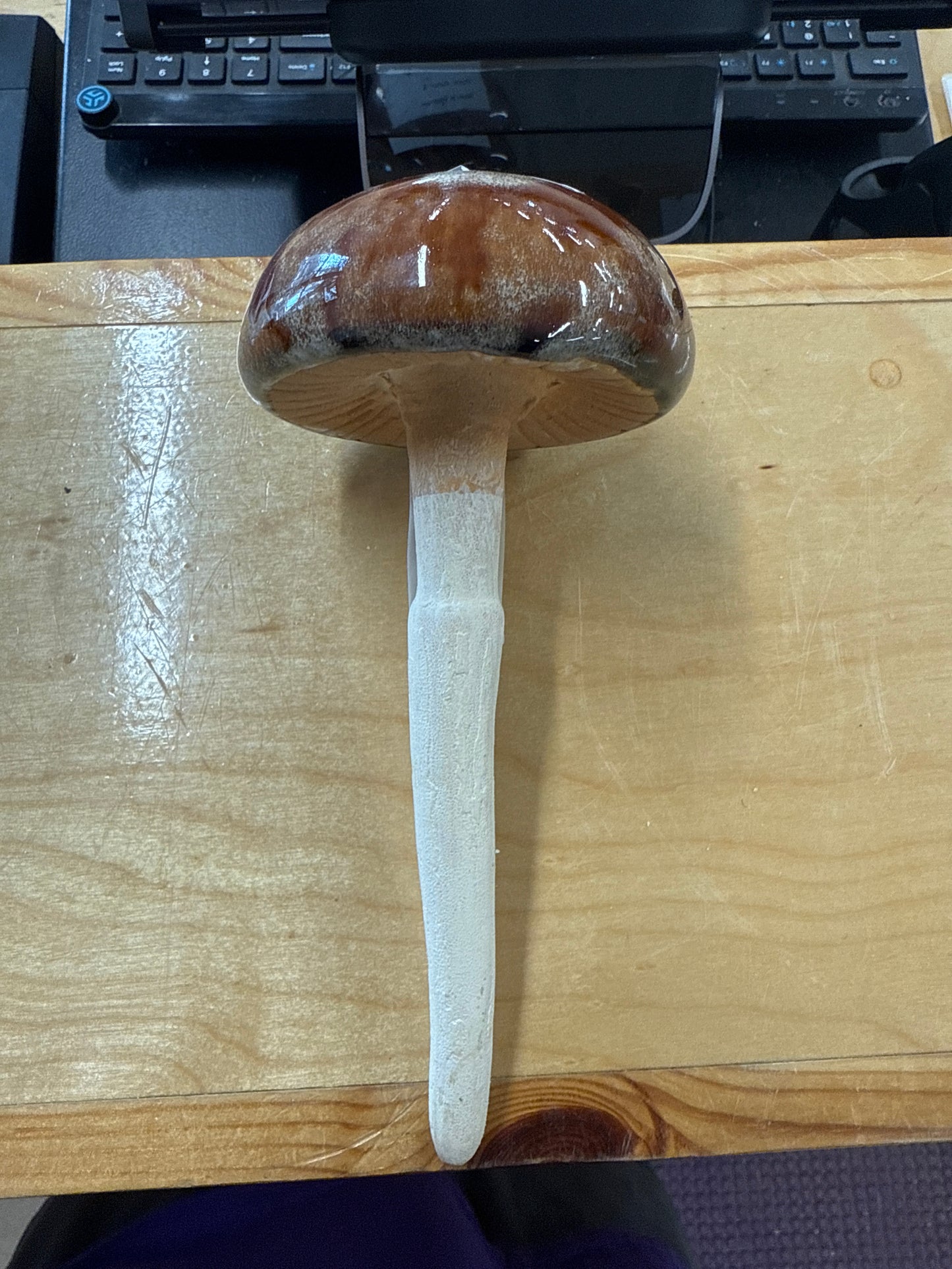 Brown Standard Mushroom