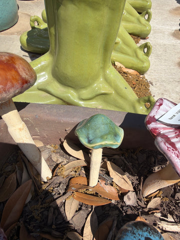 Green Umbonate Mushroom