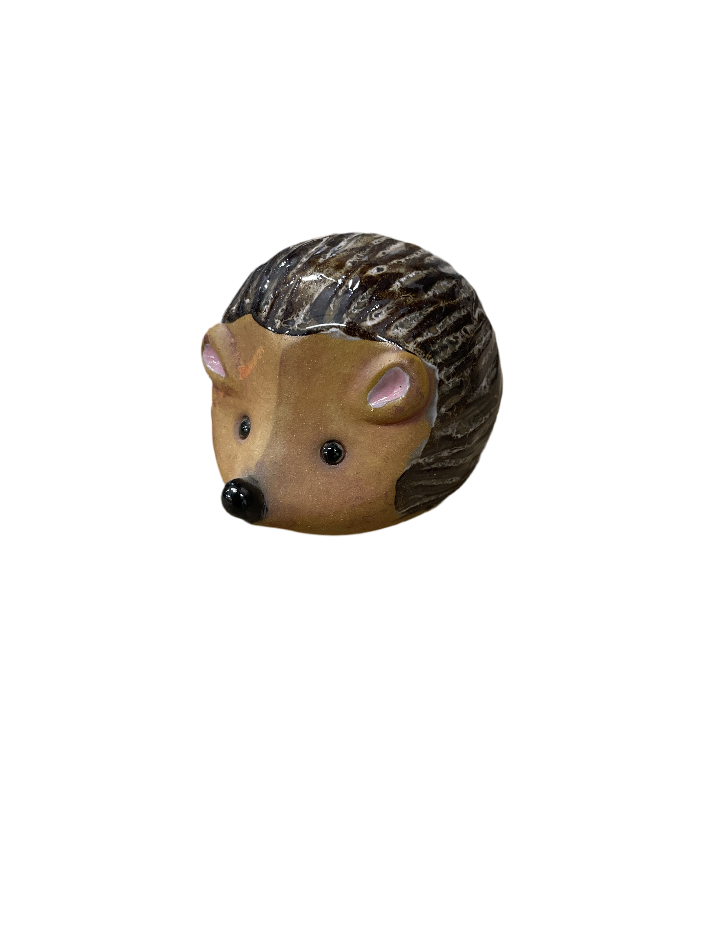 Small Hedgehog