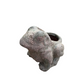 Oceanic Coral Frog Planter