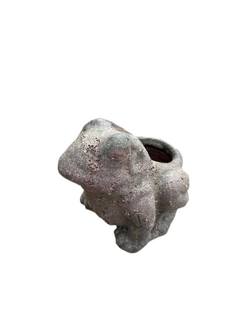 Oceanic Coral Frog Planter