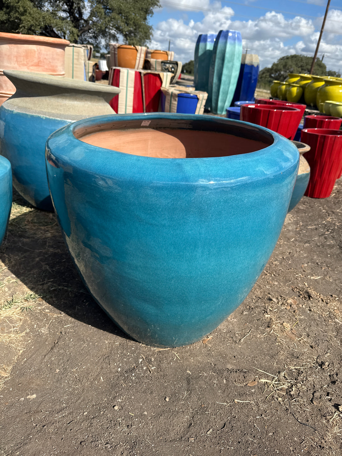 Curvora Planter