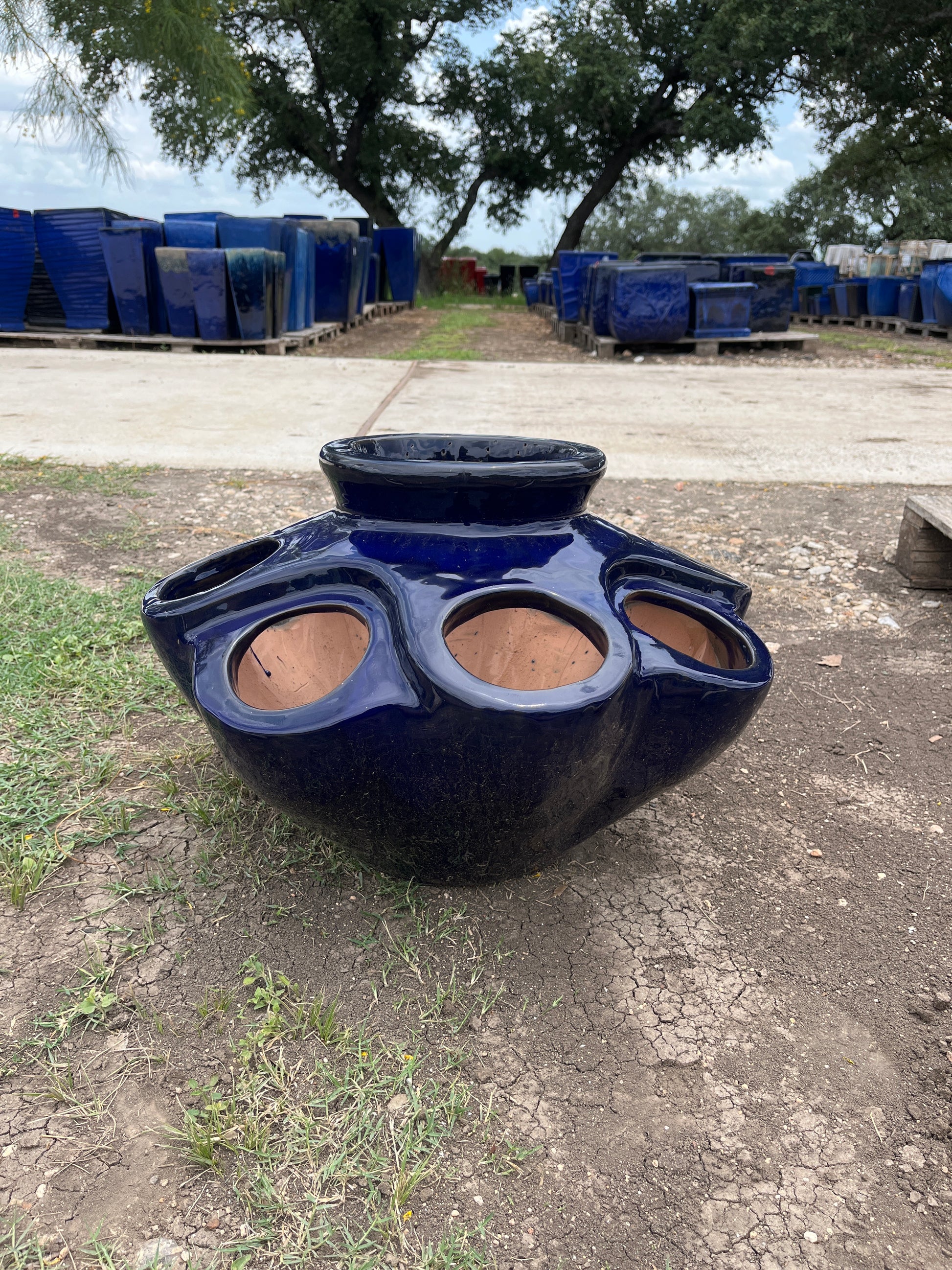ceramic strawberry planter pot Strawberry Planter
