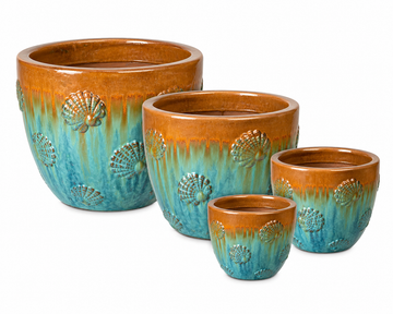 Scallop Egg Planter