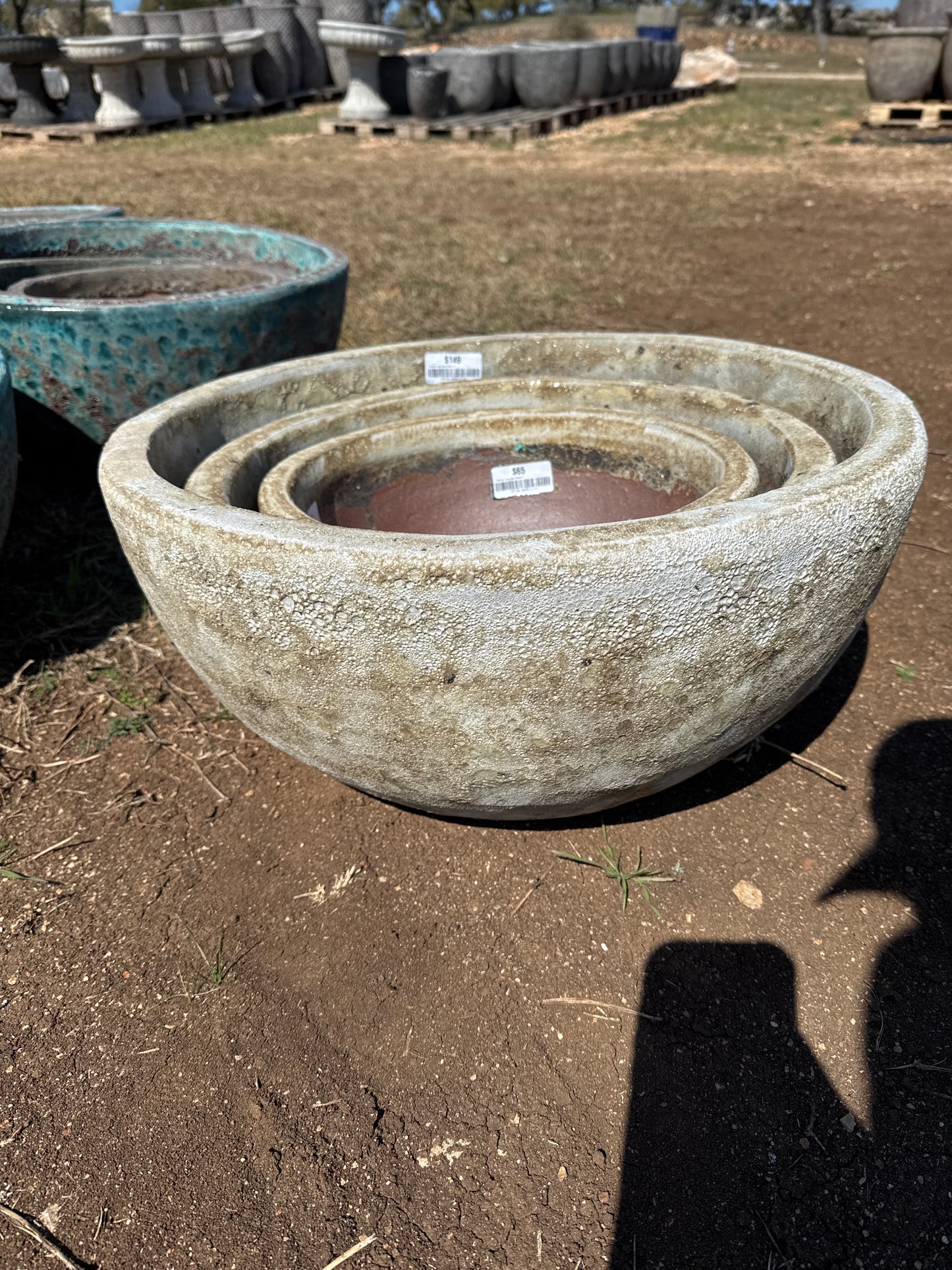 Bubbled Cream Bowl Planter 8"