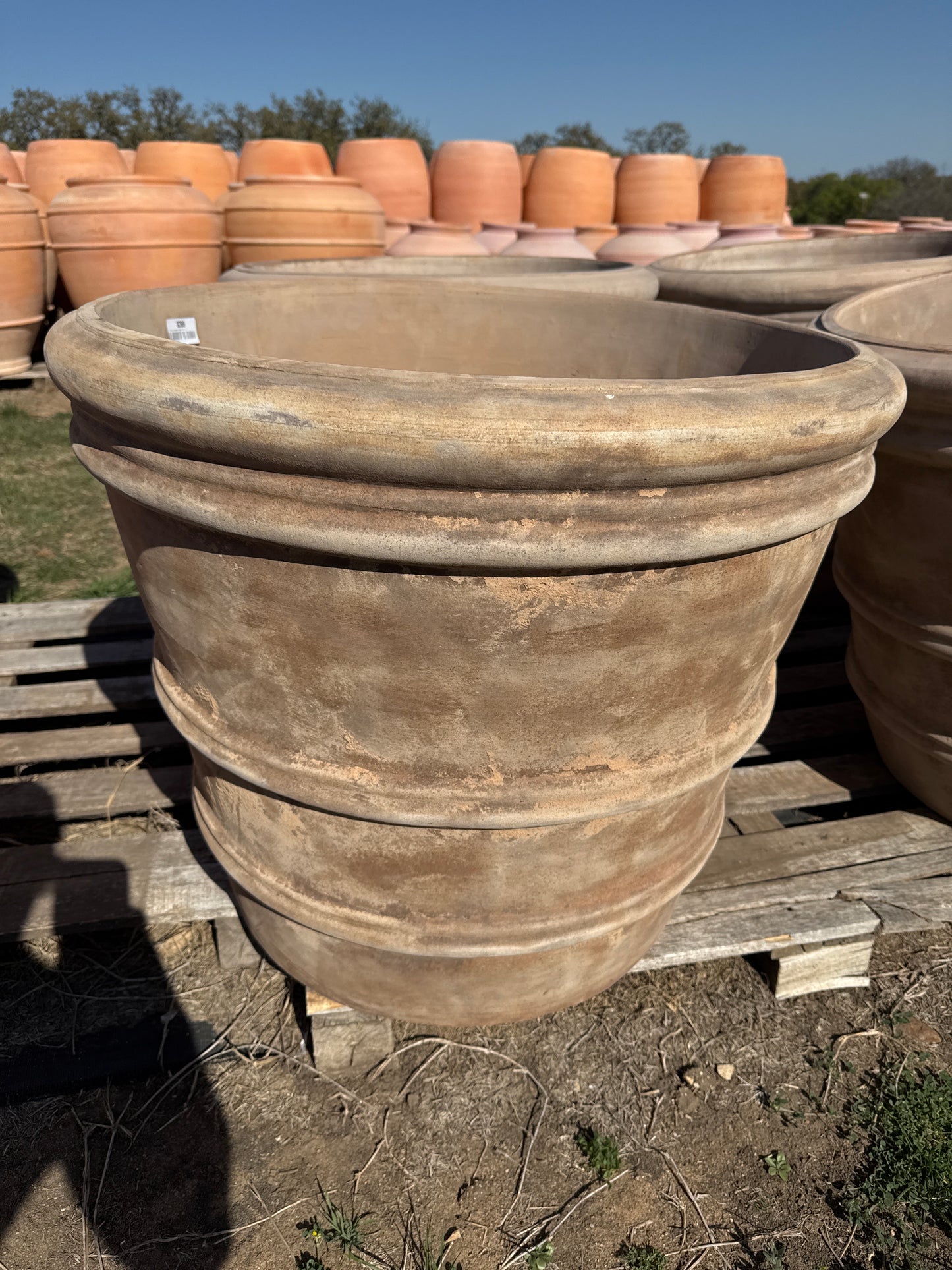 Antique Terracotta Florentine Planter 25"
