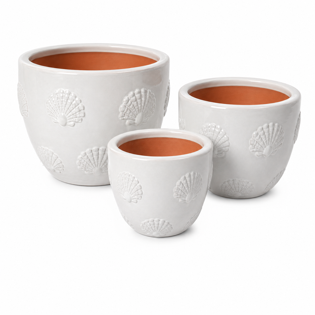 Scallop Egg Planter