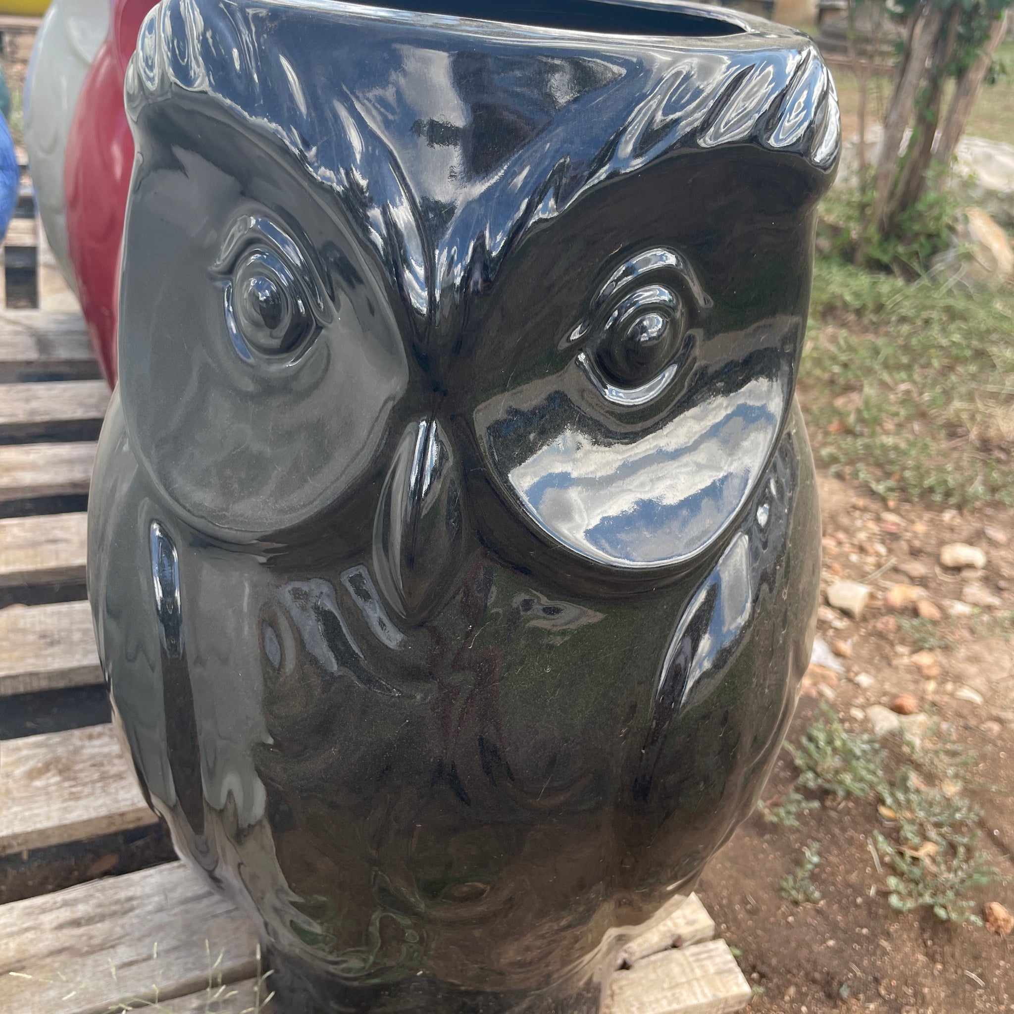 Wise Owl Planter