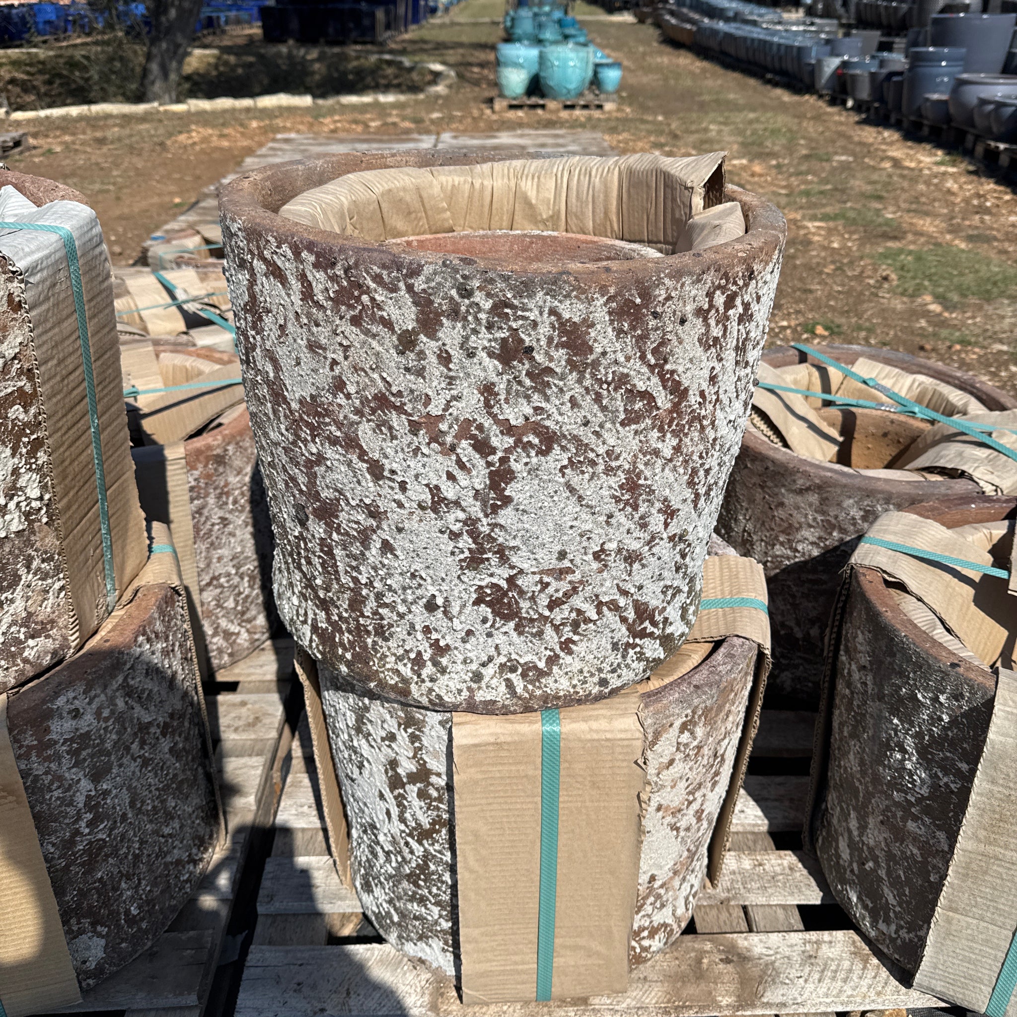 Snow Brown Broad Cylinder Planter