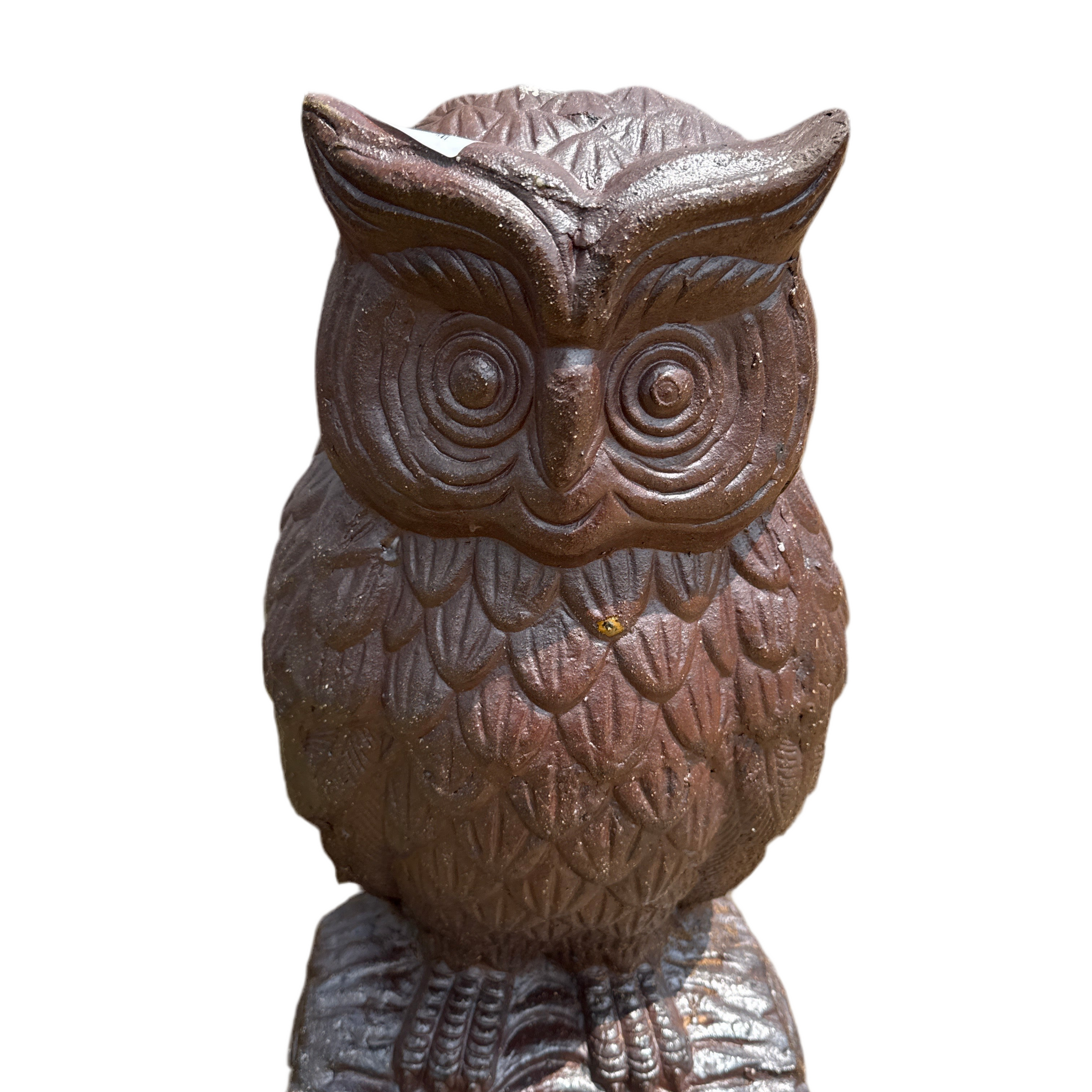 Black Clay Owl