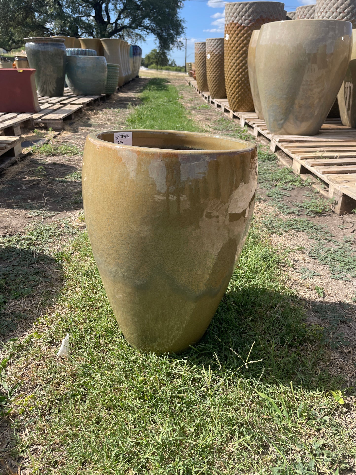 Jungle Rain Bowed Smooth Planter 17"