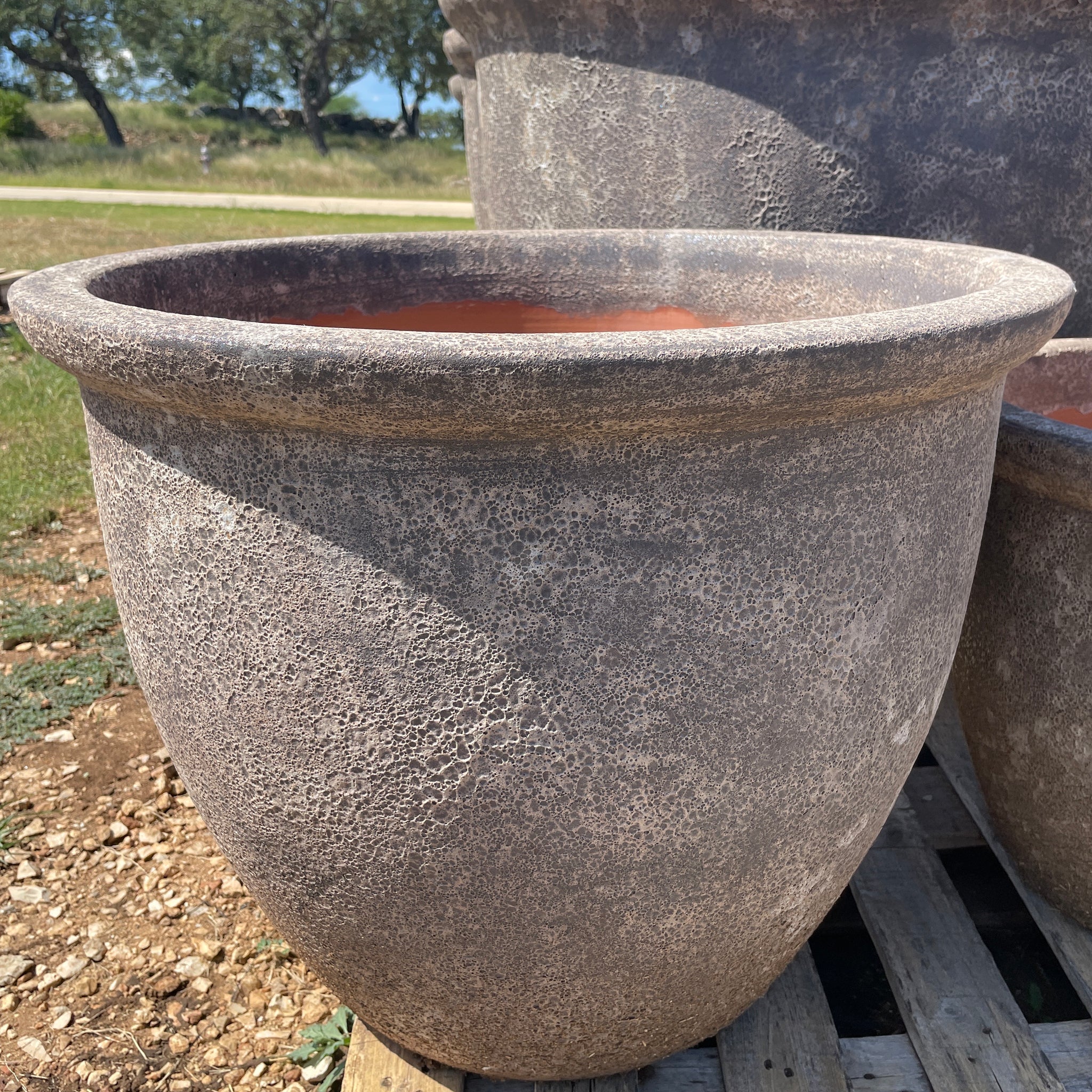 Wide Lipped Planter