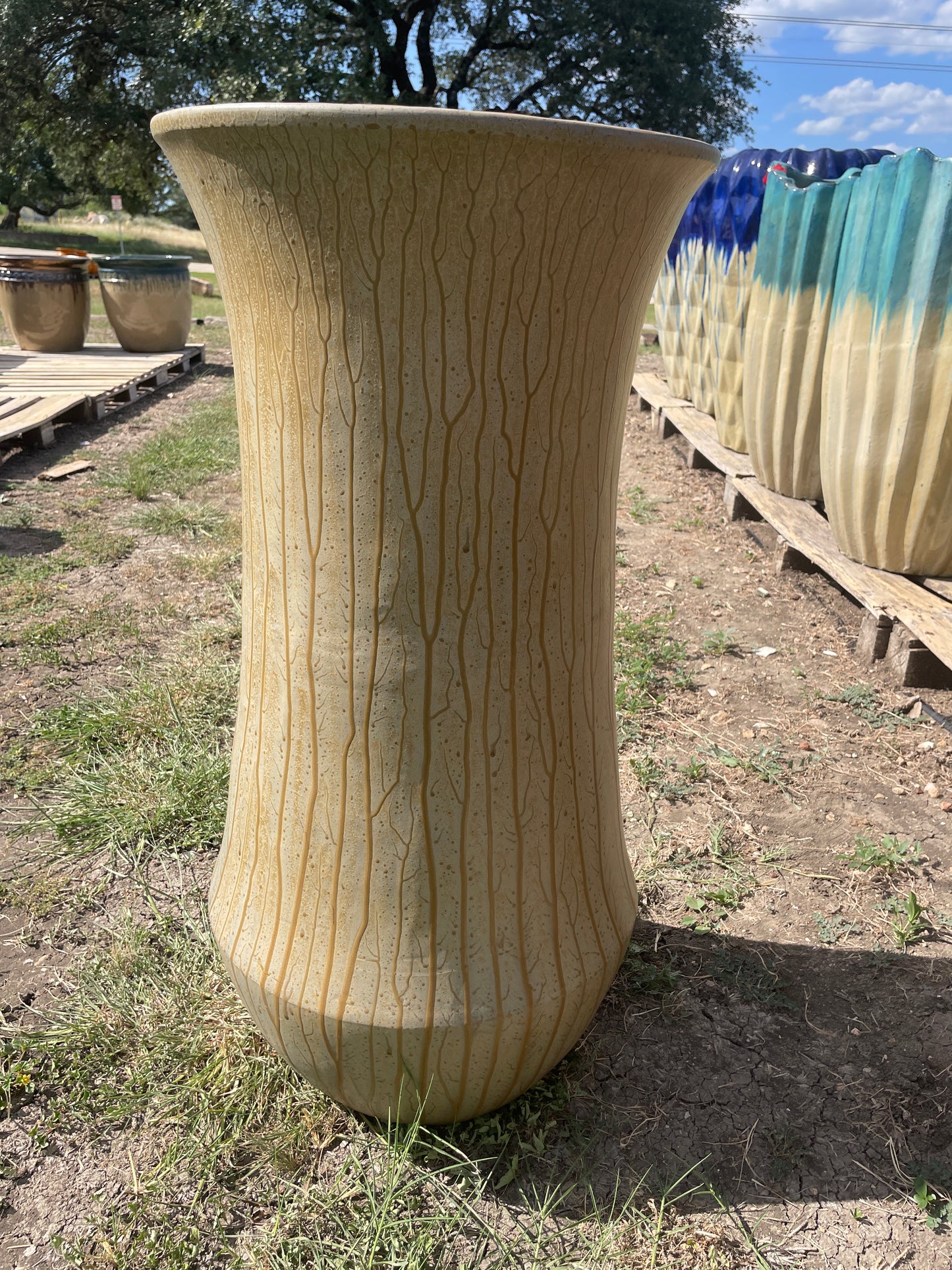 Cream BB Root Tall Midas Planter 38"