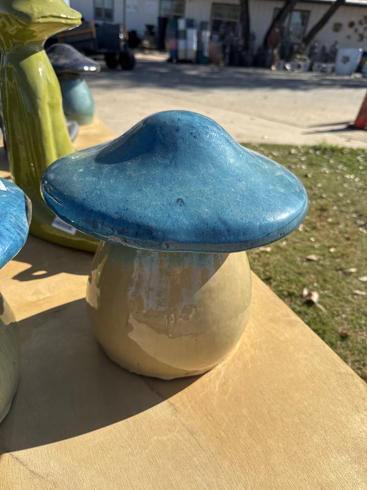 Glazed Mushroom
