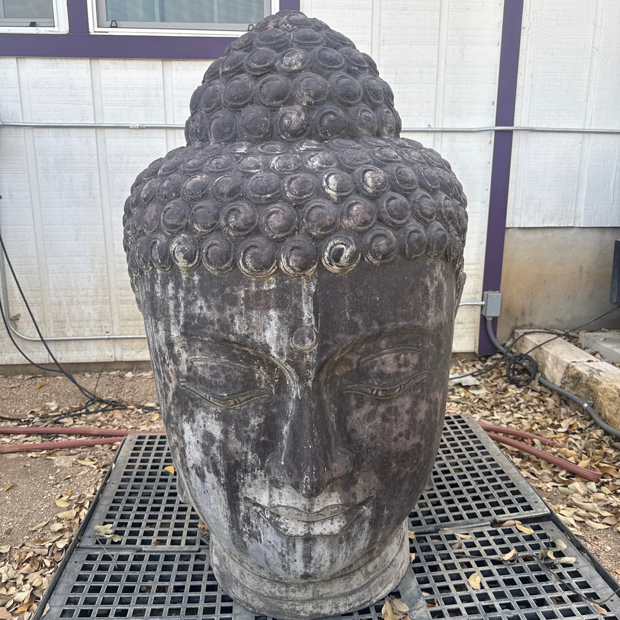 Buddha Head - Large