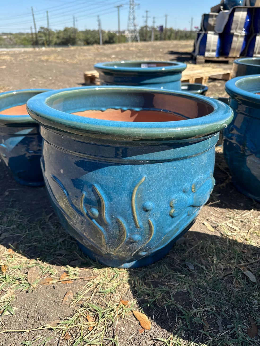 Fish Flared Rim Planter