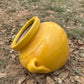 Mango Wallpot Planter