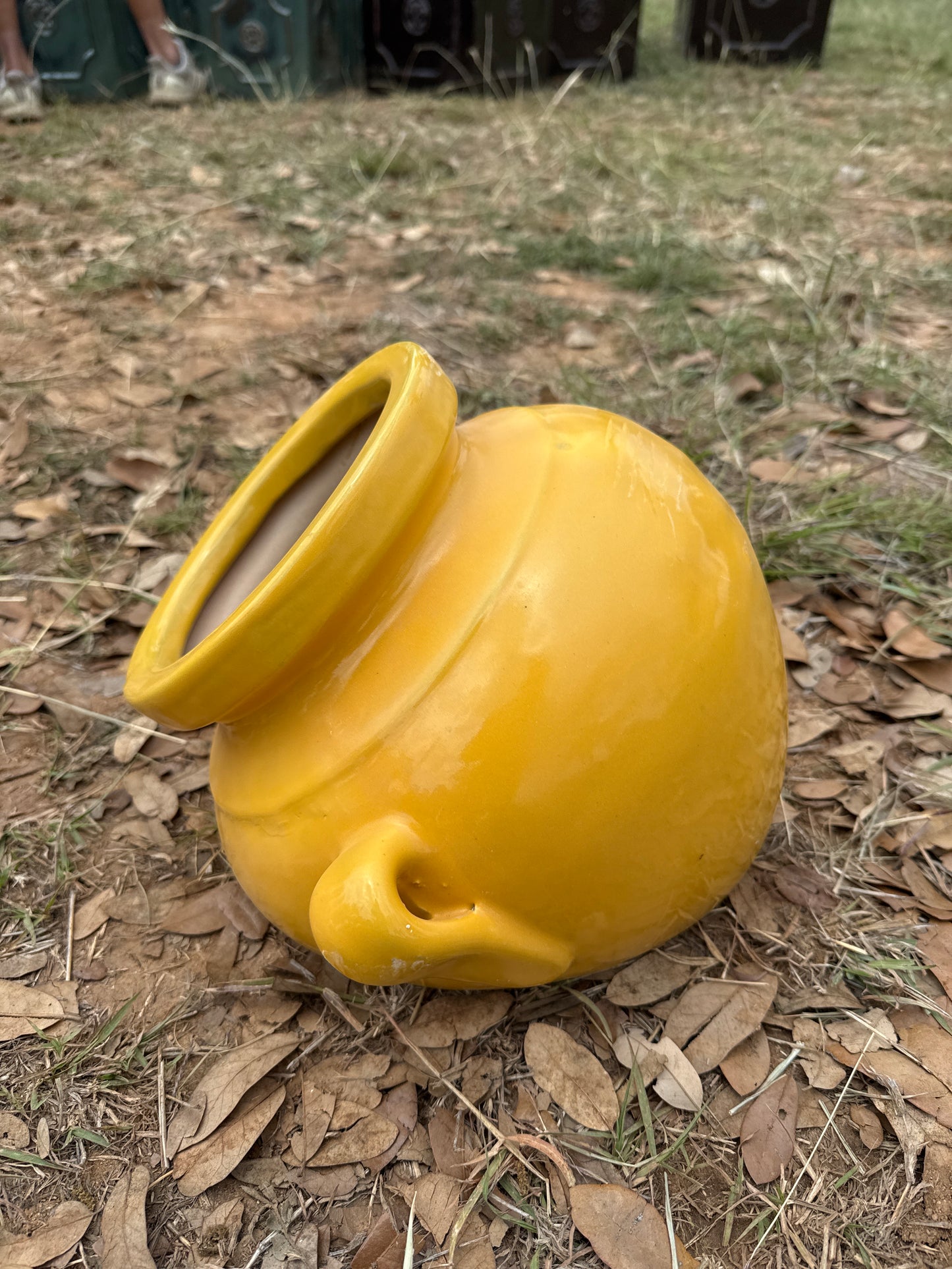 Mango Wallpot Planter