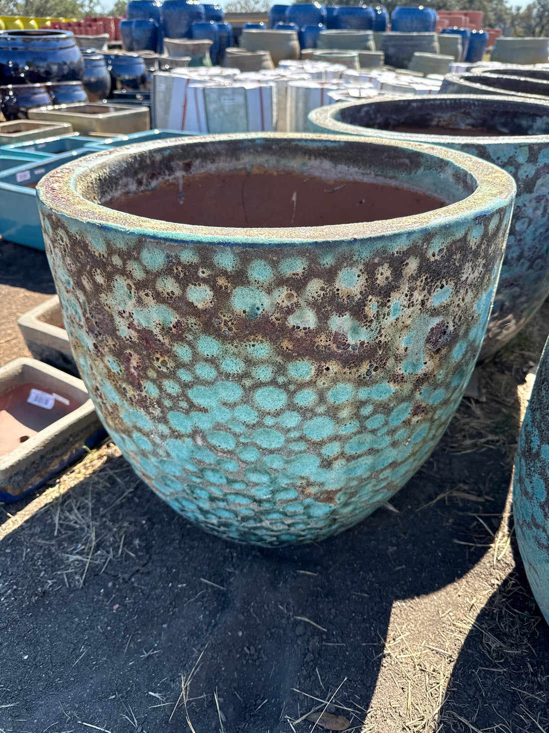 Egg Planter