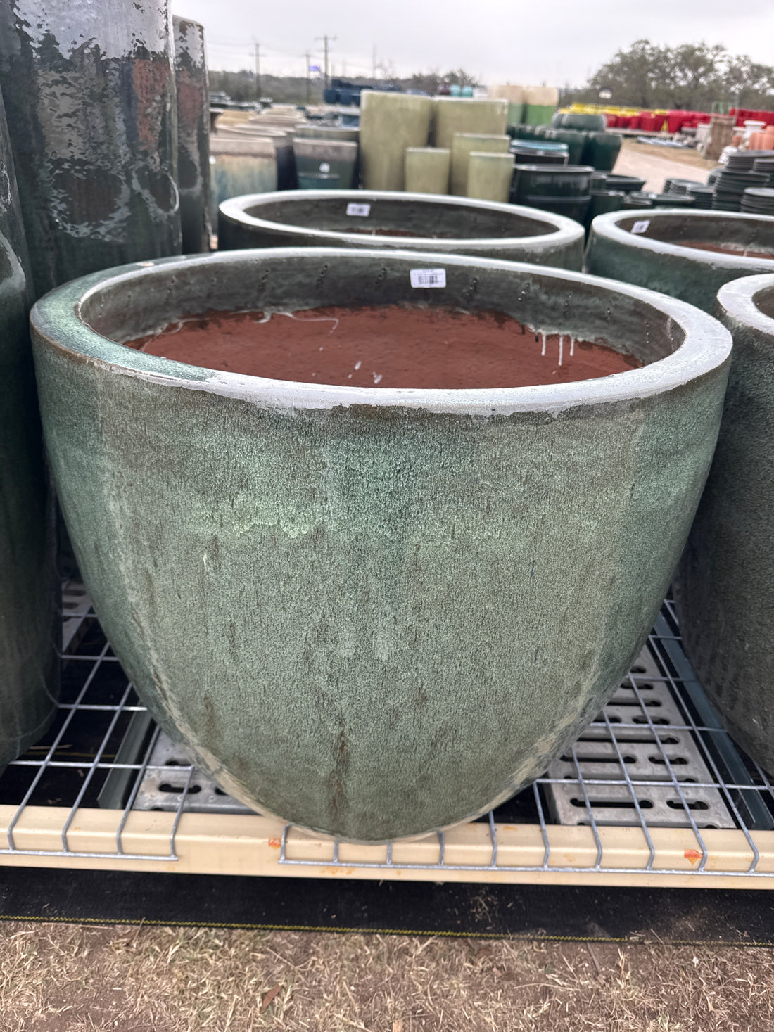 Large Egg Planter