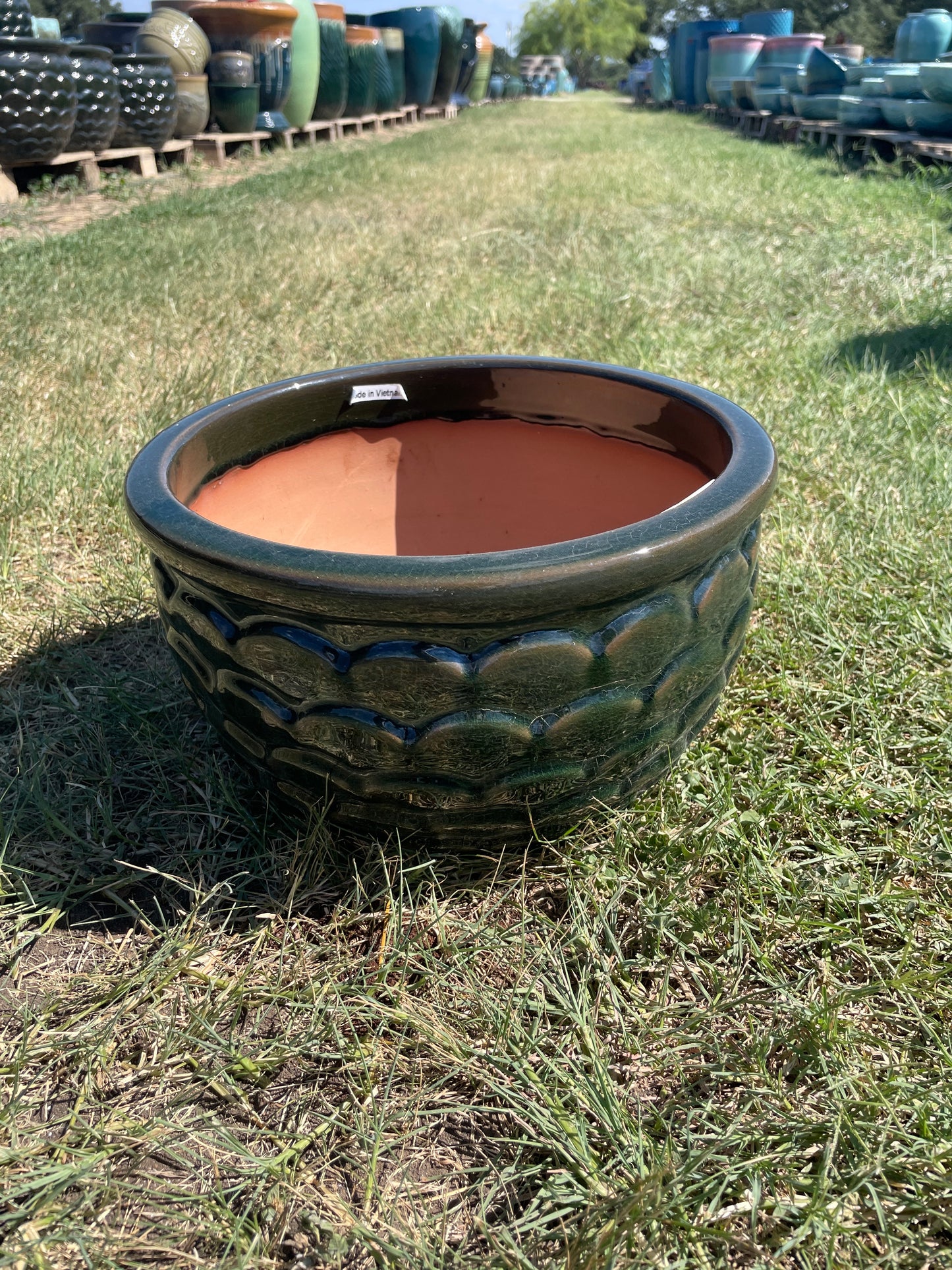 Green Scales Bowl 7"