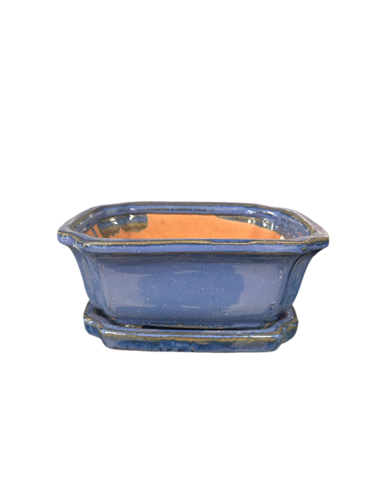 Running Blue Crimped Bonsai Pot